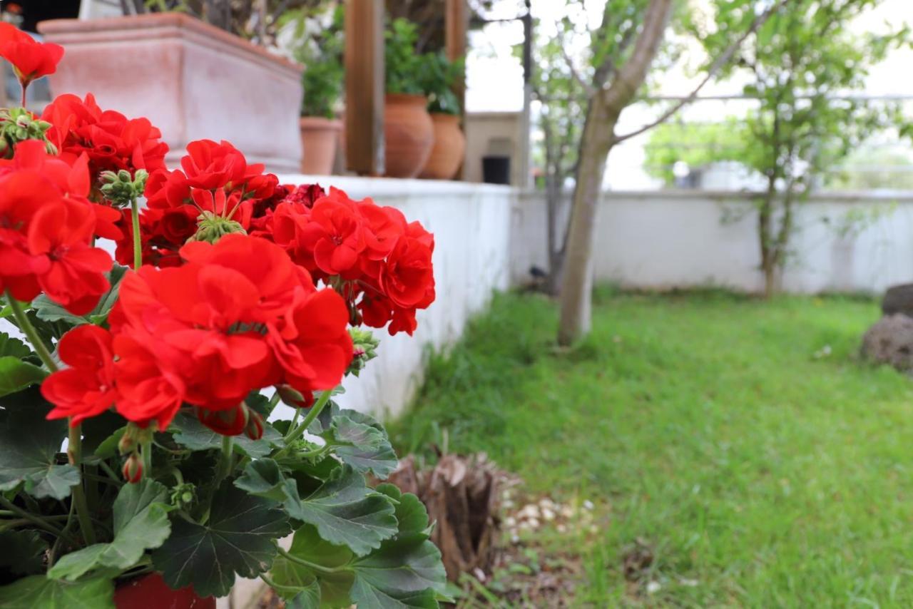 Belle Maison Villa Kavala Buitenkant foto